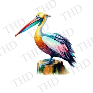 Mehrfarbiger Regenbogenpelikan, Nautik, Strand, PNG, Clipart für Sublimation / Wärmepresse