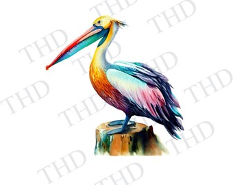 Pelicano Arco-Íris Multicolorido, Náutico, Praia, PNG, Clipart para Sublimação/Prensa Térmica