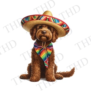 Brown Labradoodle Cinco De Mayo Fiesta JPG/PNG Design scaricabile, per sublimazione/stampa a caldo per magliette, tazze, cappellini, borse