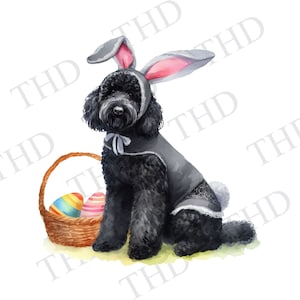 Schwarzer Labradoodle Hund Osterhase png/clipart