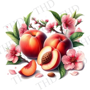 Pfirsiche und Pfirsichblüten PNG / JPG digitaler Download für Sublimation und Heißpresse für T-Shirts, Totes, Mützen, Schürzen