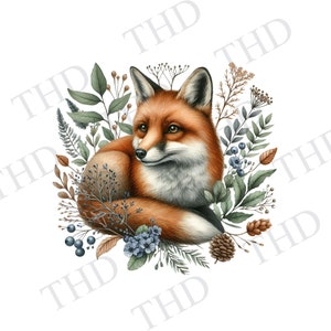 Renard roux Image jpg/png/clipart