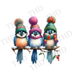 Image téléchargeable de drôles d'oiseaux de neige en hiver, PNG, clipart pour sublimation/presse à chaud