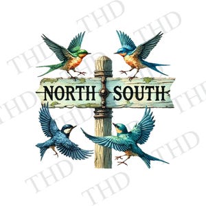 Image téléchargeable d'oiseaux drôles, image téléchargeable, Nord Sud PNG, clipart pour sublimation/presse à chaud