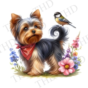 Yorkie mit Vogel, Yorkshire Terrier Clipart JPG / PNG Bild / Sublimationsgrafik / Transferpresse Grafik