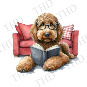 Lesen Labradoodle herunterladbare Clipart-Bild, JPG / PNG für Heat Press / Sublimation, Grafikdesign für T-Shirts, Tassen, Hüte, Taschen