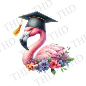 Graduación Flamenco Clipart / Imagen PNG