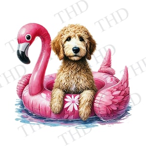 Chien Goldendoodle flottant dans l'eau, flotteur flamant rose à télécharger JPG/PNG, conception pour t-shirts, chapeaux, tasses, sacs, cartes