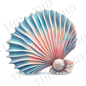 Concha de ventilador png/clipart