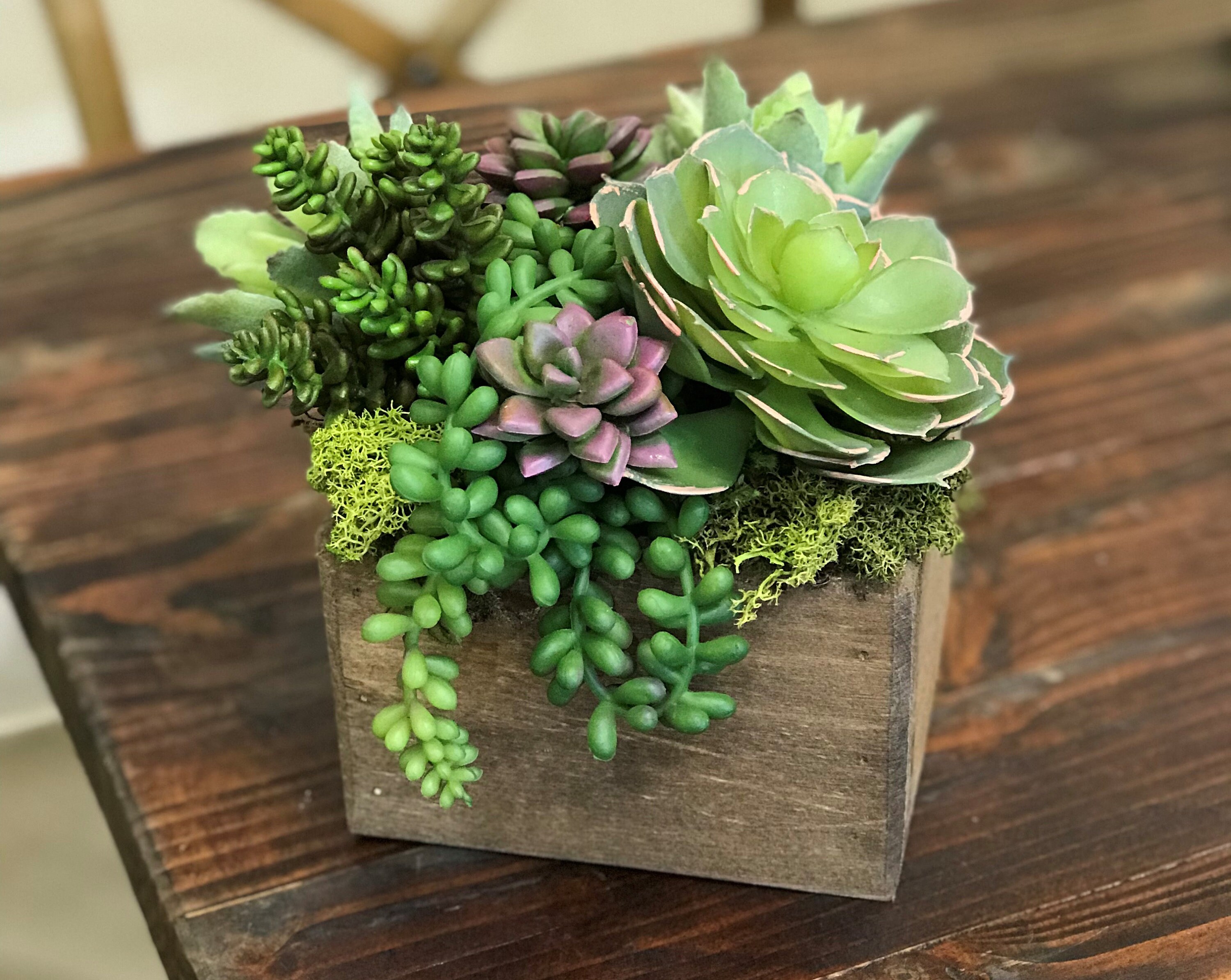 5 x 5 Cube Faux Succulent Centerpiece Etsy