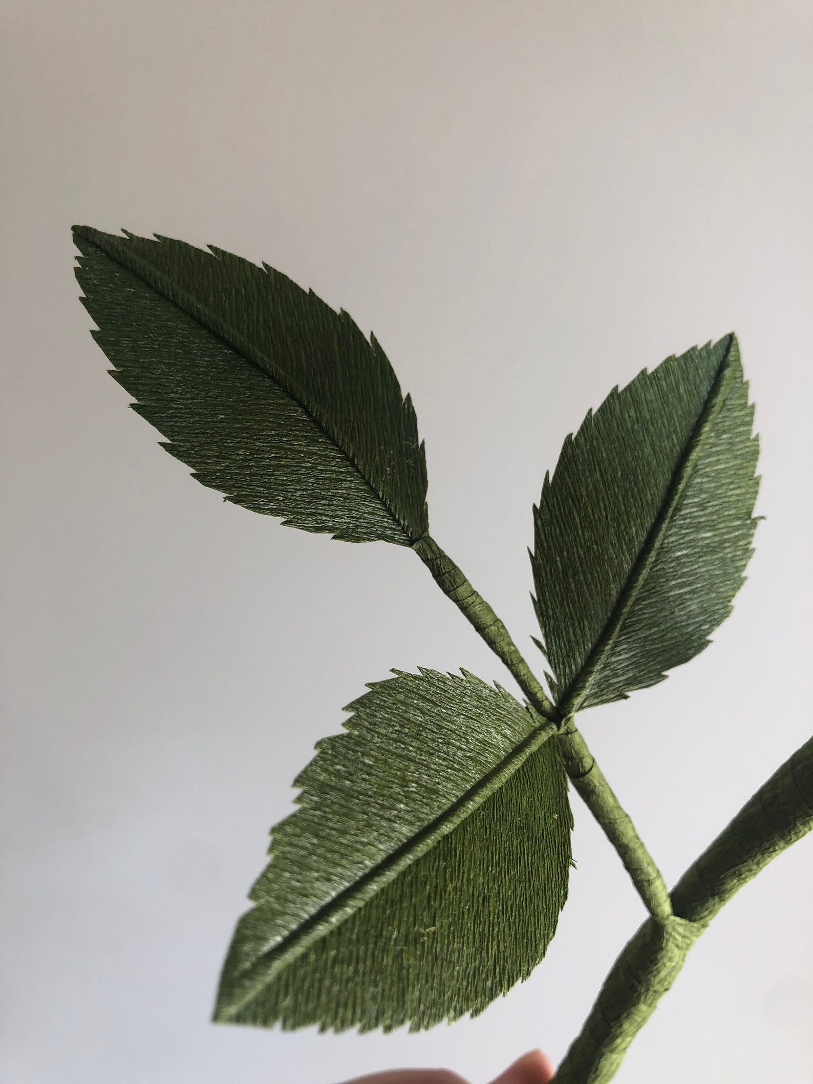 Crepe Paper Juliet Rose Paper Flowers for Home Decor or Etsy