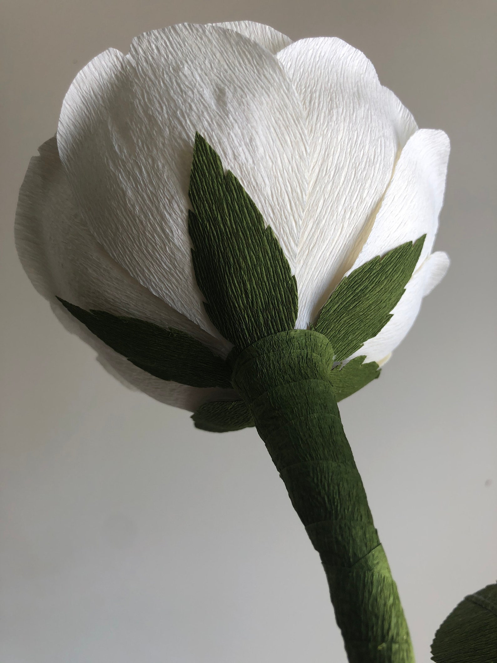 Crepe Paper Juliet Rose Paper Flowers for Home Decor or Etsy