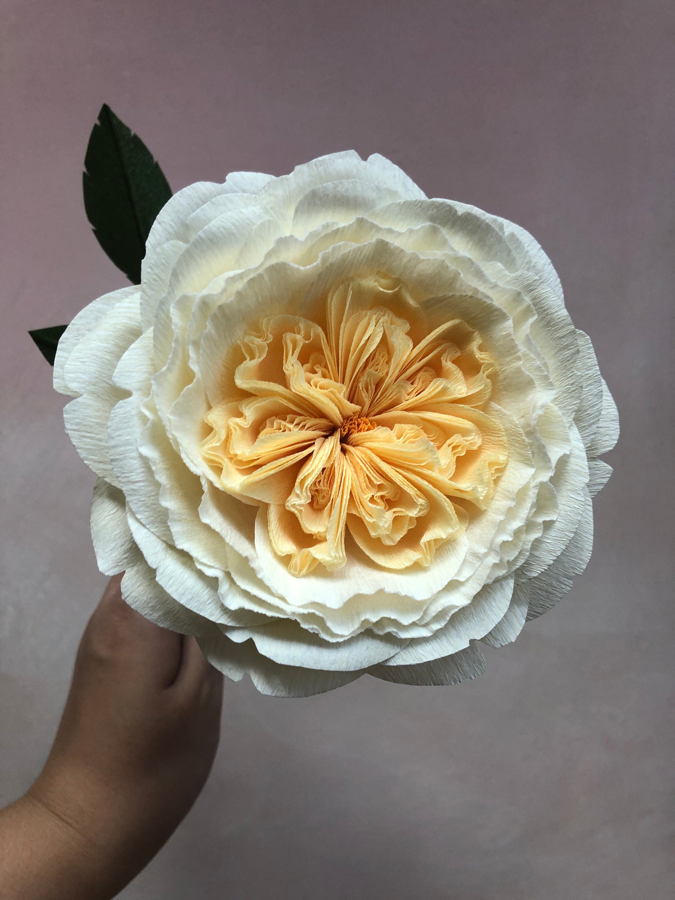 Crepe Paper Juliet Rose Paper Flowers for Home Decor or Etsy