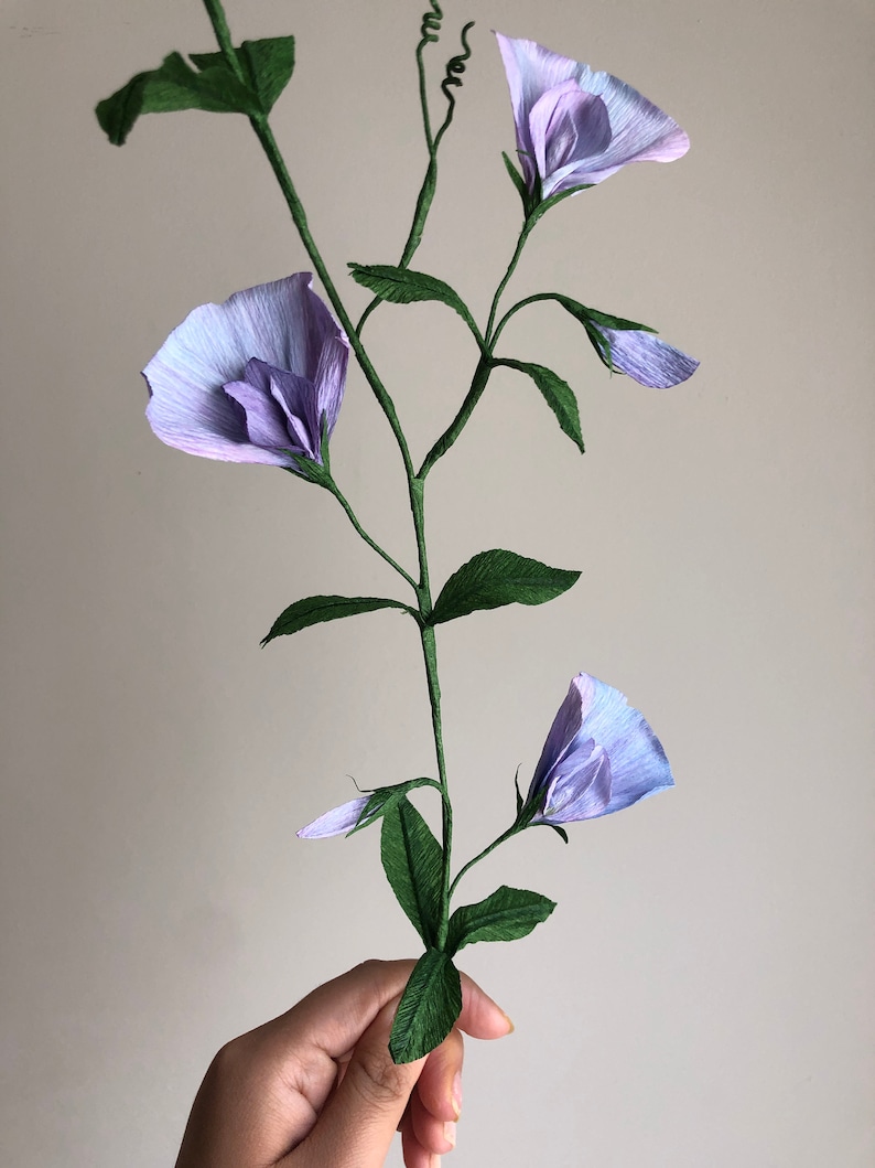 Crepe Paper Sweet Peas Paper Flowers for Home Decor or Etsy