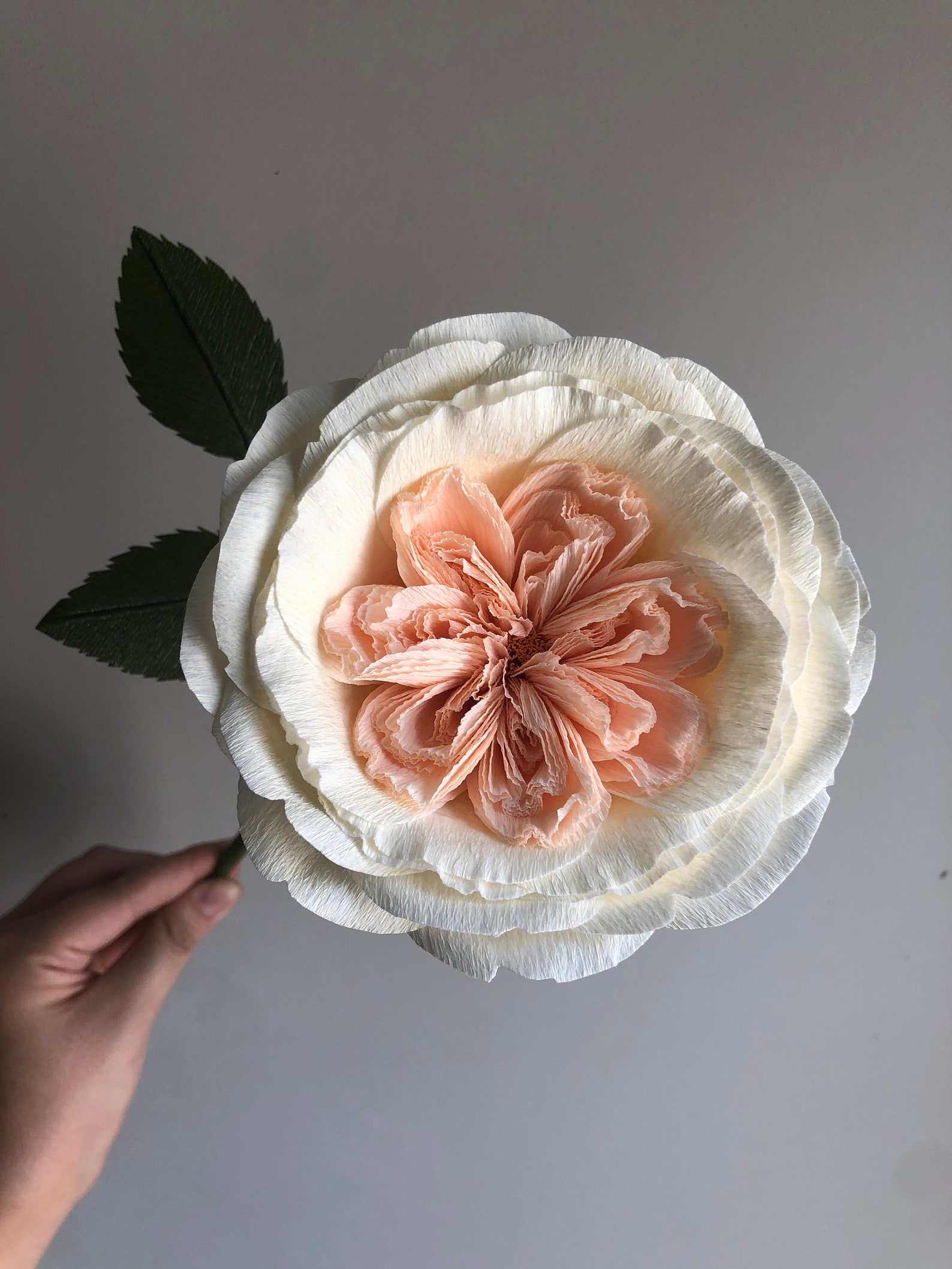 Crepe Paper Juliet Rose Paper Flowers for Home Decor or Etsy