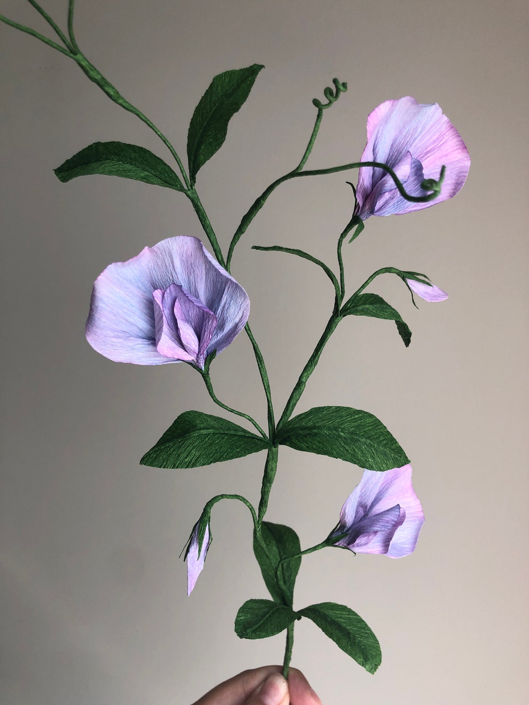 Crepe Paper Sweet Peas Paper Flowers for Home Decor or Etsy