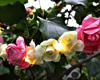 Blumenkranz mit Lichtern - Haarkranz Rosen