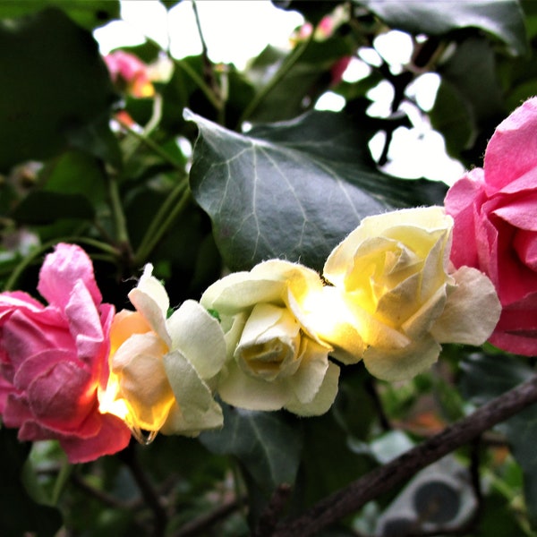 Blumenkranz mit Lichtern - Haarkranz Rosen