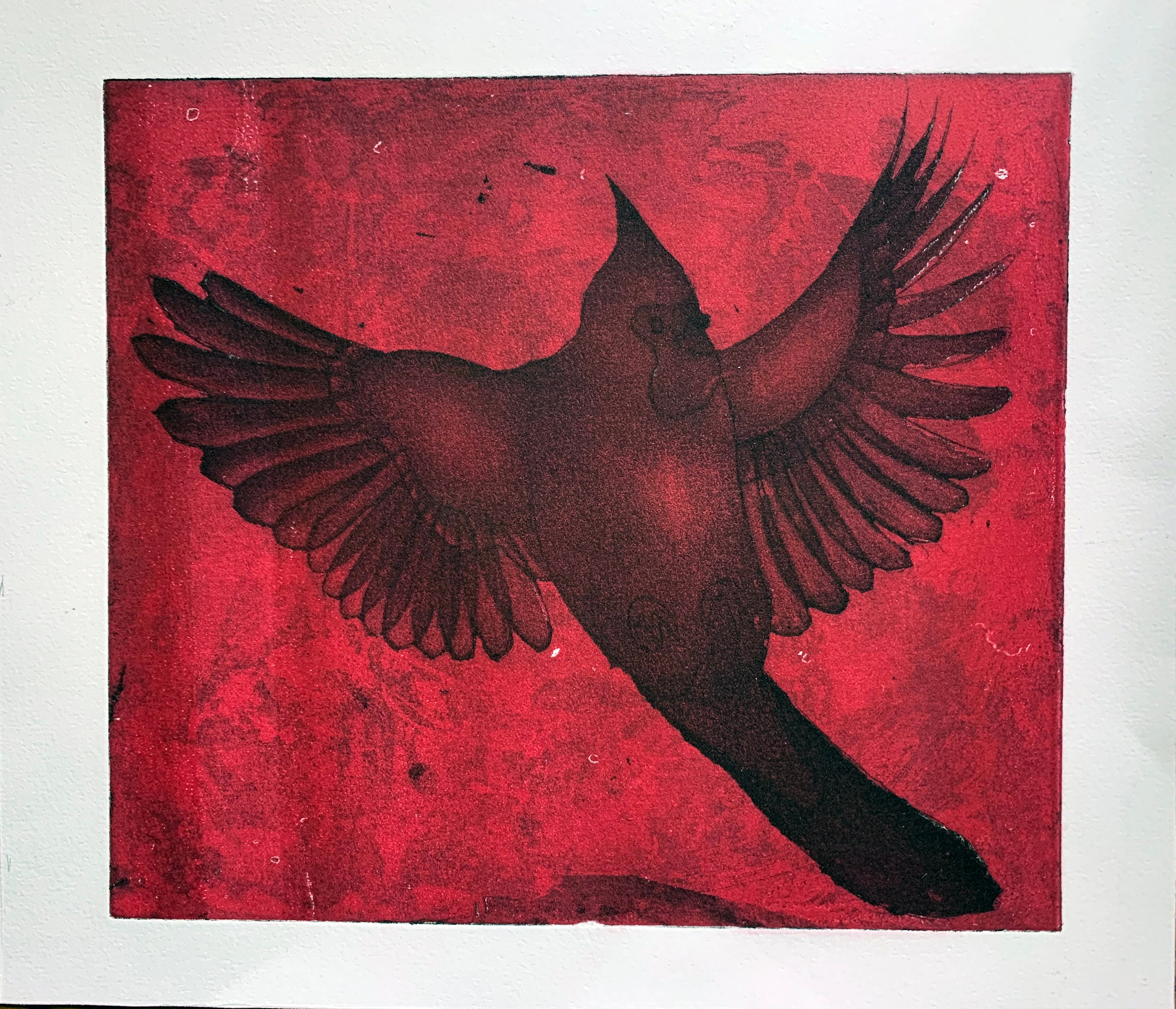 Original Artist Print - Intaglio Etching - Cardinal - Etsy