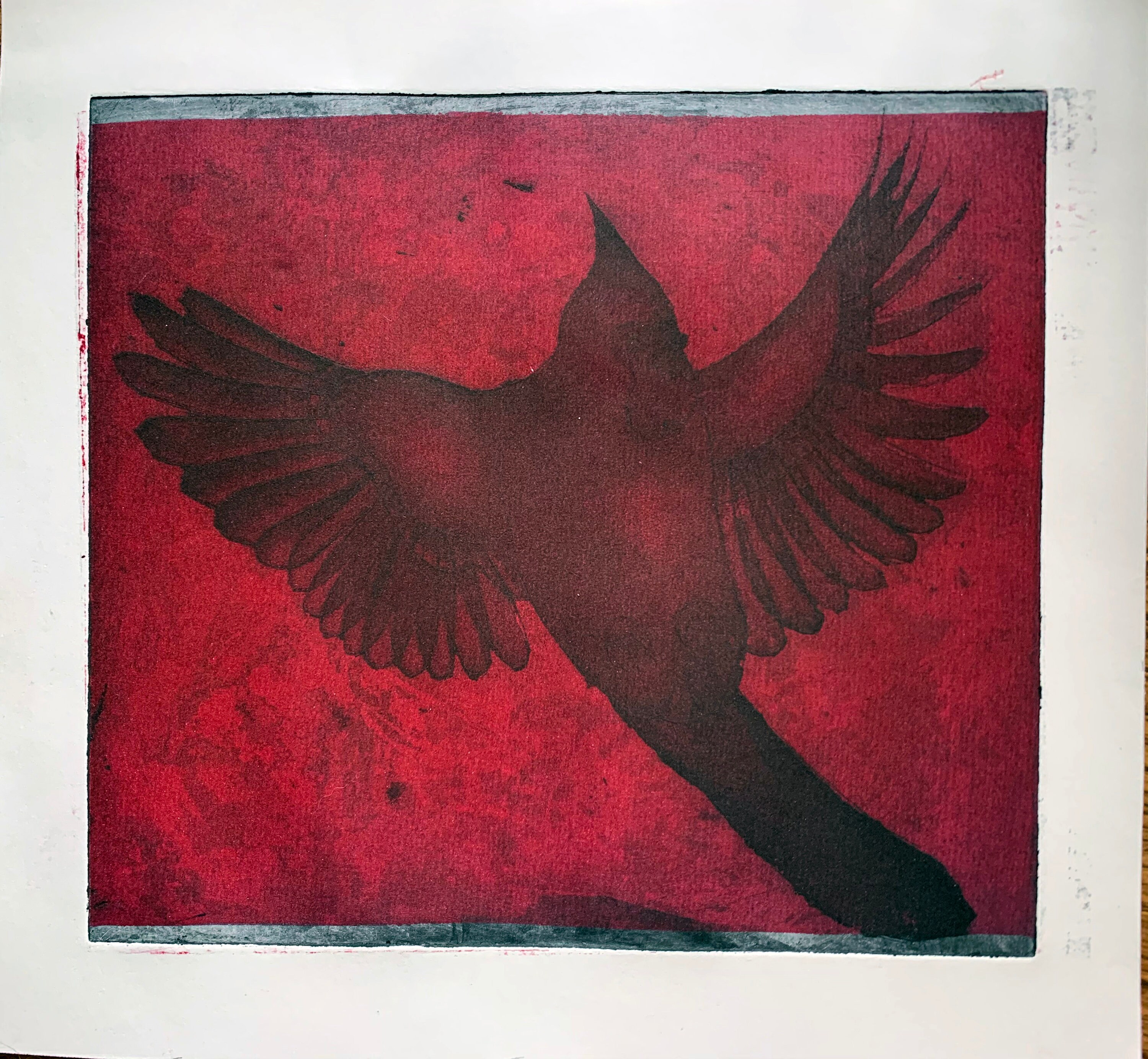 Original Artist Print - Intaglio Etching - Cardinal - Etsy