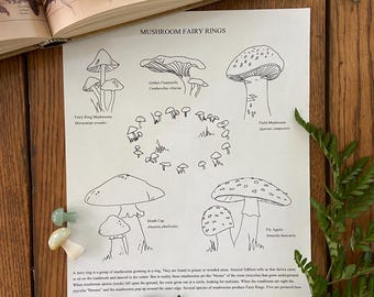 Fairy Ring Mushrooms Coloring Page | Instant Digital Download | Nature Study Inspiration | Charlotte Mason Homeschool