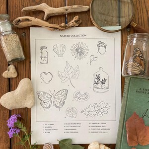 Nature Collection Coloring Page for Nature Study | Coloring Page for Kids and Adults | Charlotte Mason Homeschool Theme | Digital Download