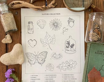 Nature Collection Coloring Page: Charlotte Mason Homeschool (Digital Download)