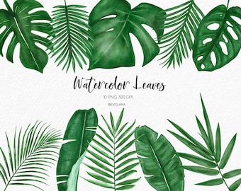 Watercolor Leaves Clipart, Watercolor Tropical Leaves Watercolor Greenery Branches Foliages Botanical Clipart, Jungle Clipart, Palm leaf