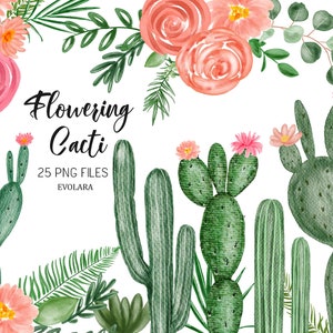 clipart de cactus de acuarela, clipart de cactus florales, suculenta, planta de cactus, vegetación botánica, clipart de floración de cactus, planta de cactus de acuarela
