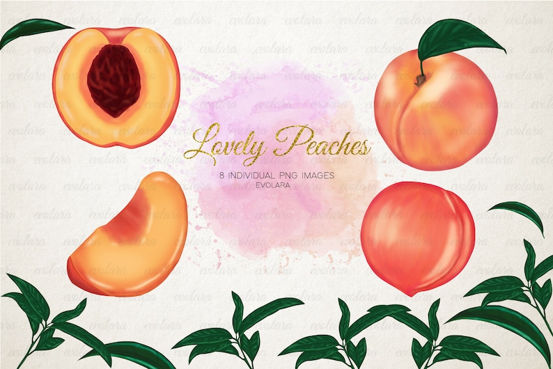 Peach Clipart Peaches Clipart Fruits Clipart Greenery Clipart Fruit Summer Pink Peach Branch Clipart Botanical Illustration
