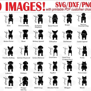 40 file di sederi per cani con foglio di scelta del cliente stampabile / SVG DXF PNG / file di taglio digitale / Cricut / Silhouette / Glowforge laser cnc