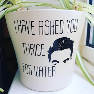 May include: White ceramic planter with a black silhouette of a man's face and the text "I have asked you thrice for water".
