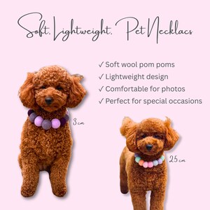 May include: Two brown toy poodles wearing colorful pom-pom necklaces. The necklaces are 3 cm and 2.5 cm in diameter. The image includes the text "Soft, Lightweight, Pet Necklaces" and bullet points describing the product.