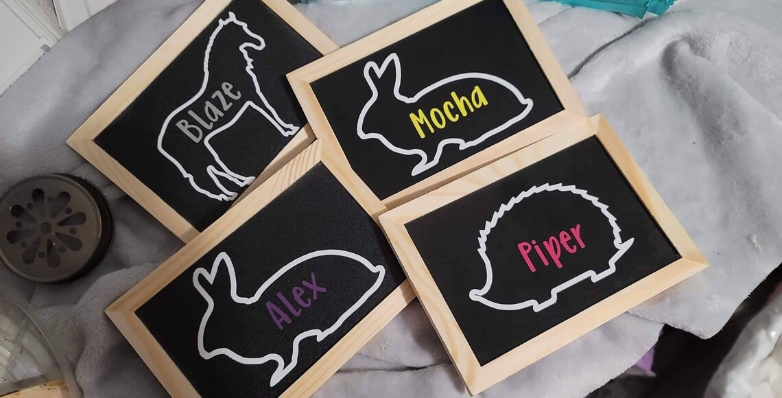 jungle-animal-name-tags-ubicaciondepersonas-cdmx-gob-mx