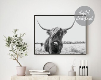 Long Haired Cow Etsy