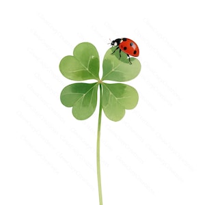 May include: Watercolor illustration of a four-leaf clover with a ladybug. The clover has four green heart-shaped leaves and a long green stem. The ladybug is red with black spots and is perched on one of the leaves.
