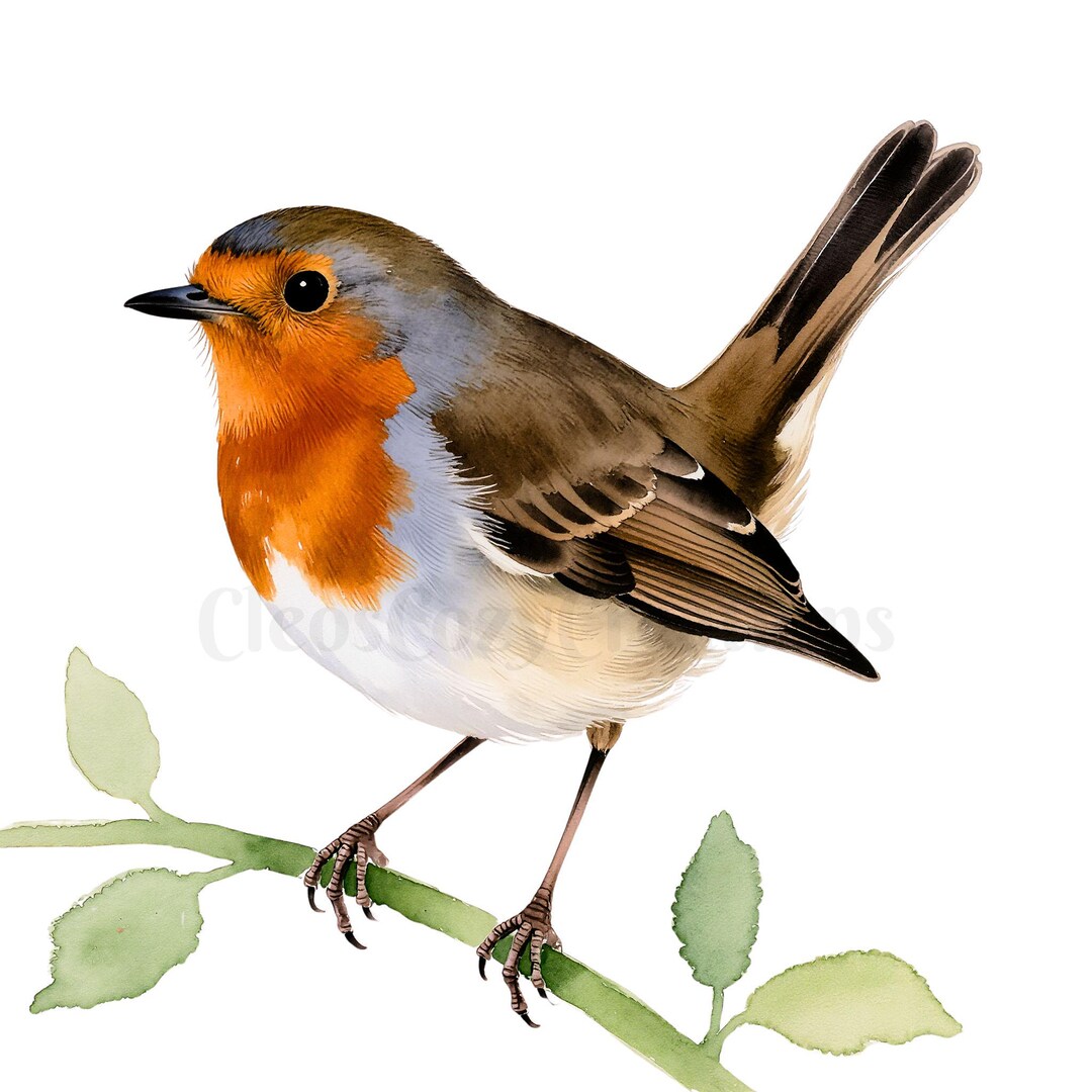Spring Bird Png Spring Bird Clipart PNG for Cards & Invitations, Garden Birds ...