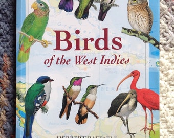 Birds of the West Indies by Herbert Raffaele, James Wiley, Orlando Garrido, Allan Keith and James Raffaele great copy some wear
