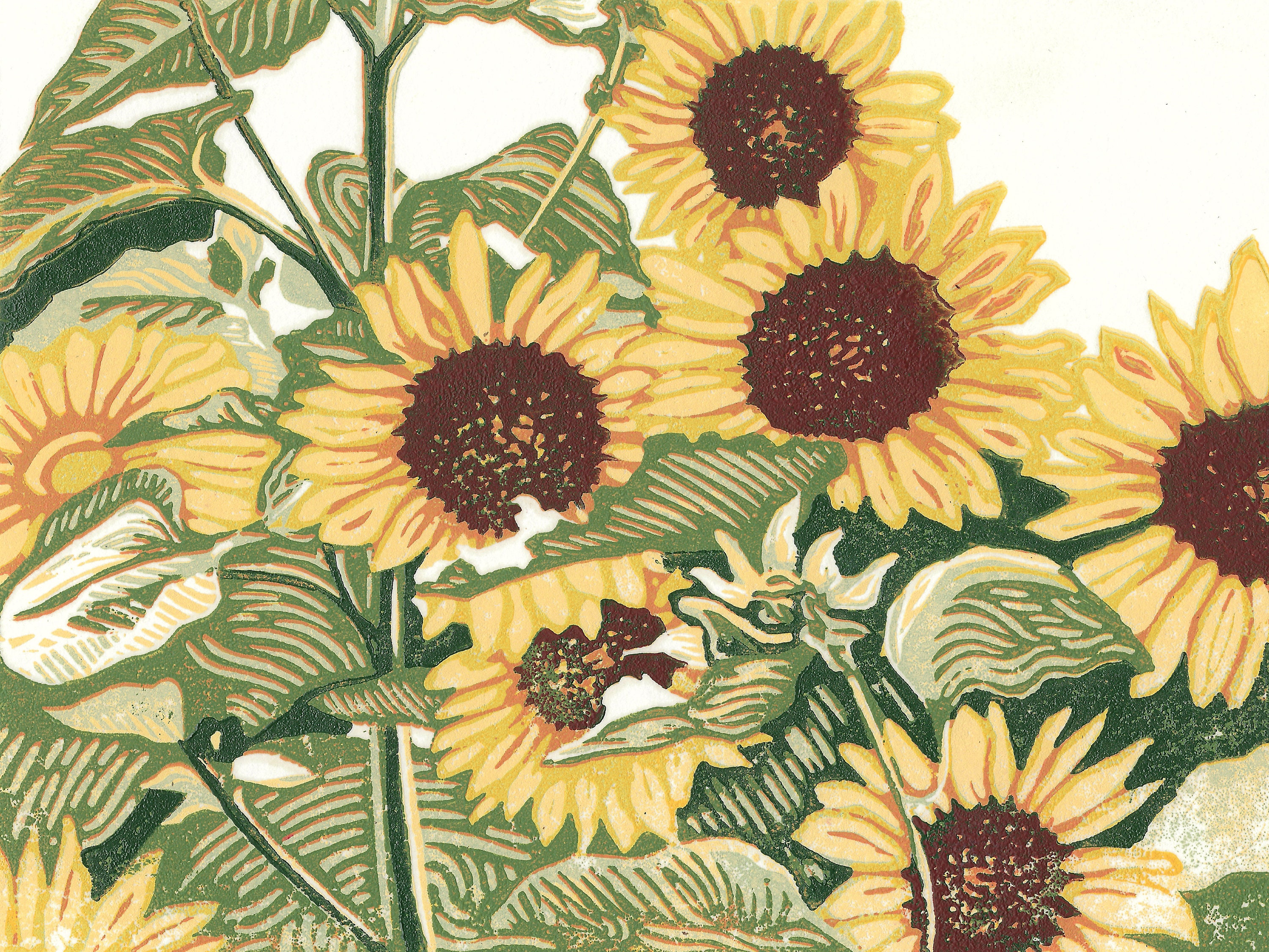 Sunflower Patch Blank Greeting Card Boxed Set - Etsy