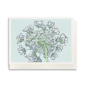 May include: A delicate white flower with a green stem against a light blue background. The flower has a circular shape and is made up of many small white petals.