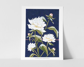 White Peonies Block Print Fine Art Print