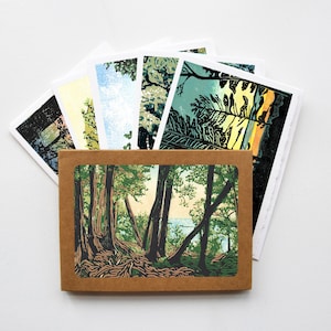 Geassorteerde serene natuurlijke landschappen blanco wenskaartset
