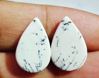 Natural Dendrite Opal Agate Pair Cabochon Gemstone Designer Loose Stone