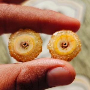 May include: Two round, agate slices with a yellow and white banded pattern. The slices are about 1 inch in diameter and have a rough, textured surface.