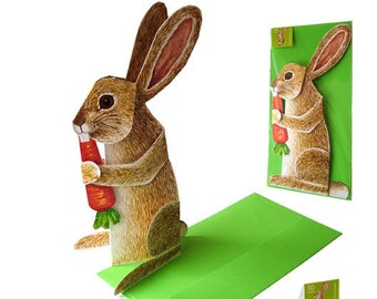 Pop-Up Karte / 3-D-Faltkarte HASE