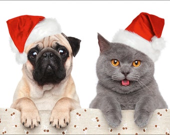 10er Set lustige Weihnachtskarten mit Mops & Katze