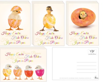 Funny Easter card set with 12 Easter postcards / greeting cards for Easter (4 motifs with 3 each), lovingly designed by EDITION COLIBRI