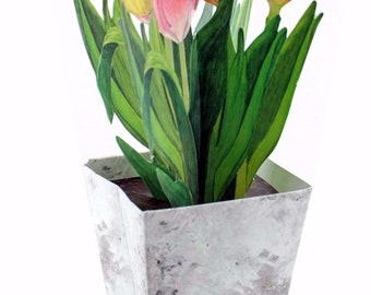 TULIPS Pop-Up Card / 3-D Folding Card Flowers - Greeting Card for Spring or Easter