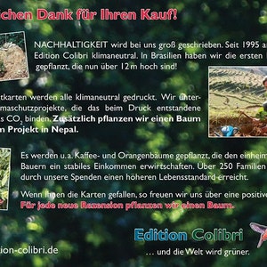 Einladungskarten zum Klettern im Kletterpark oder Hochseilgarten Bild 5