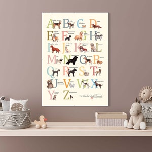 ABC der Hunderassen, Plakat für Hundefans, Kinderzimmer, Lernplakat